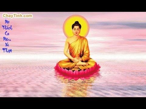 Sự Quyết Tâm Của Đức Phật