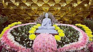 Tụng Kinh "Nương tựa ai khi Phật qua đời" tại Chùa Giác Ngộ, ngày 05-05-2021