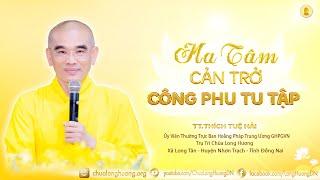 Ma Tâm Cản Trở Công Phu Tu Tập 