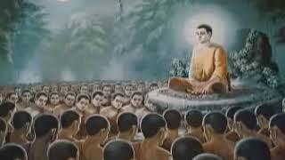 Phật Là Thầy Thuốc Vĩ Đại